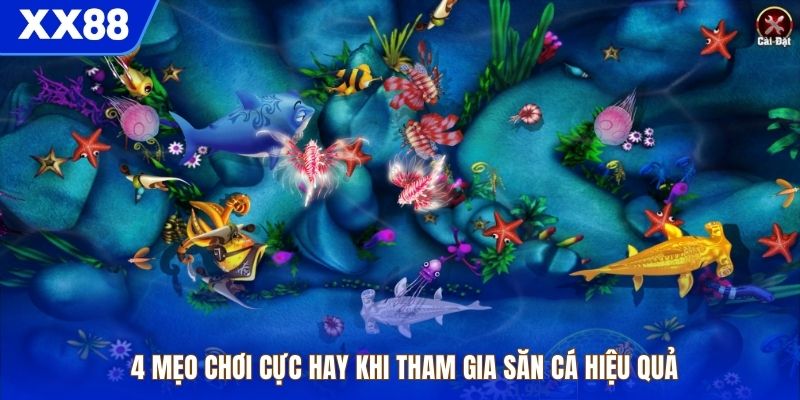 4 mẹo chơi cực hay khi tham gia săn cá hiệu quả