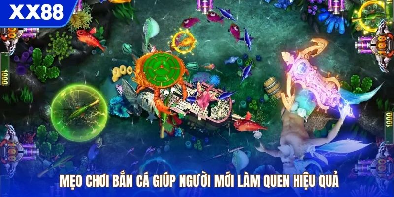 Mẹo chơi bắn cá giúp người mới làm quen hiệu quả
