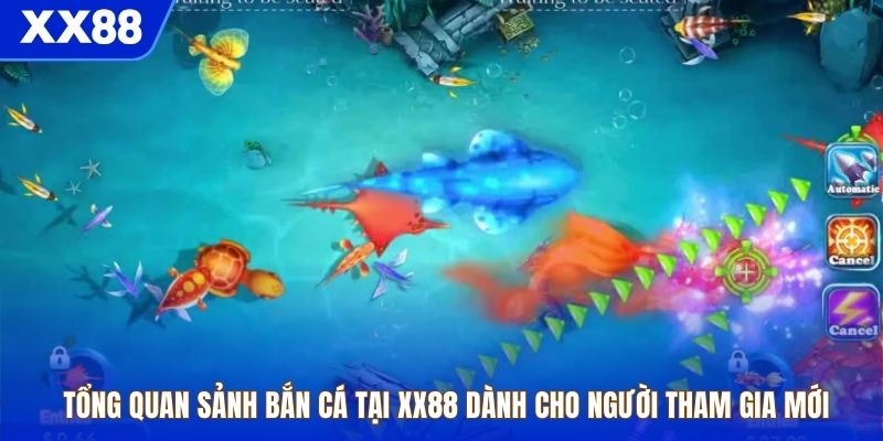 Tổng quan sảnh bắn cá tại XX88 dành cho người tham gia mới