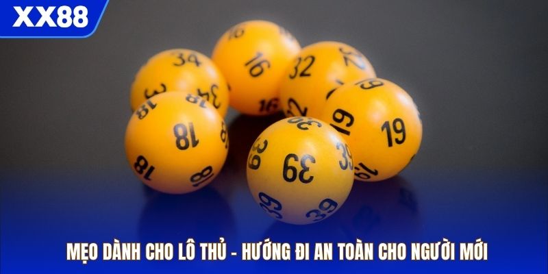 Mẹo Dành Cho Lô Thủ – Hướng Đi An Toàn Cho Người Mới
