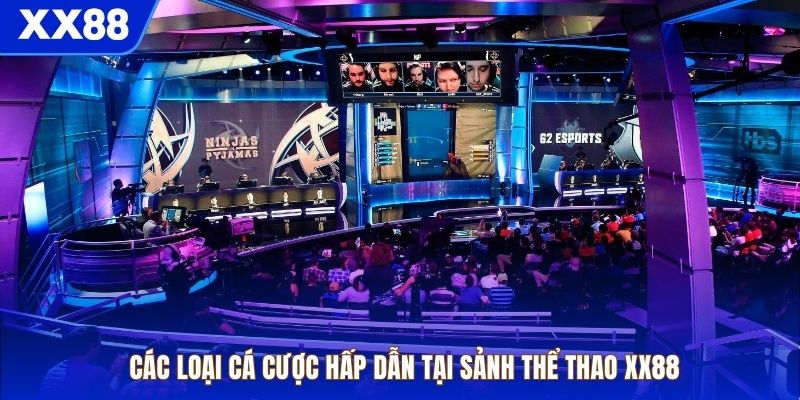 Các loại cá cược hấp dẫn tại sảnh thể thao XX88